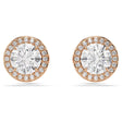 CLOUS D'OREILLES SWAROVSKI CONSTELLA ROSE