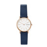 MONTRE SKAGEN SIGNATUR SKW2838