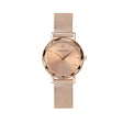 MONTRE PIERRE LANNIER FEMME MULTIPLES DORE
