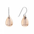 BOUCLES D'OREILLES CALVIN KLEIN SCULPTURAL