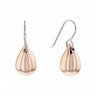 BOUCLES D'OREILLES CALVIN KLEIN SCULPTURAL