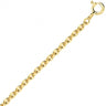 CHAINE FORCAT RONDE OR JAUNE 40CM